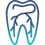 Cura della parte interna del dente